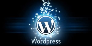 What is the Future of WordPress?
